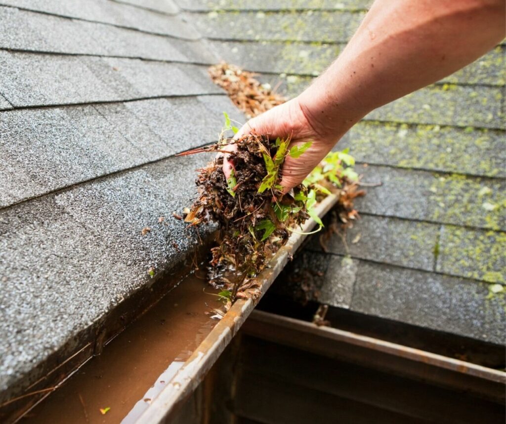 Gutter Cleaning
