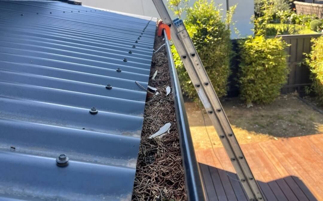 Gutter Cleaning