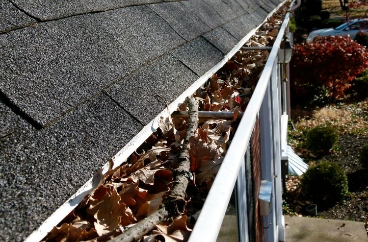 Gutter Cleaning