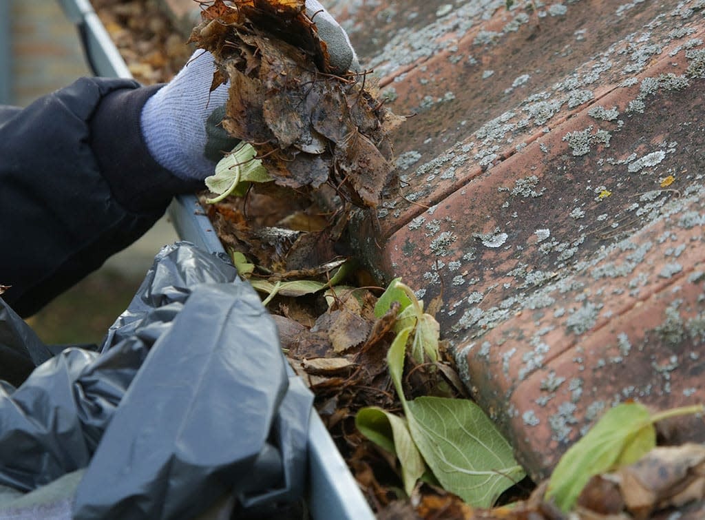 Roof maintenance