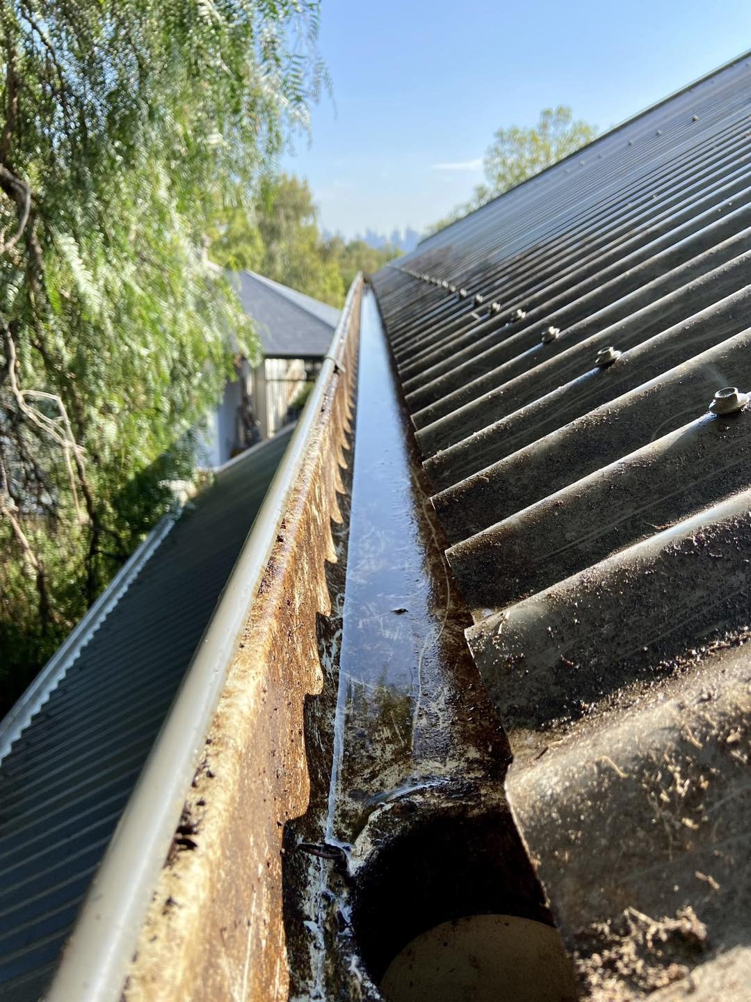 Gutter Cleaning