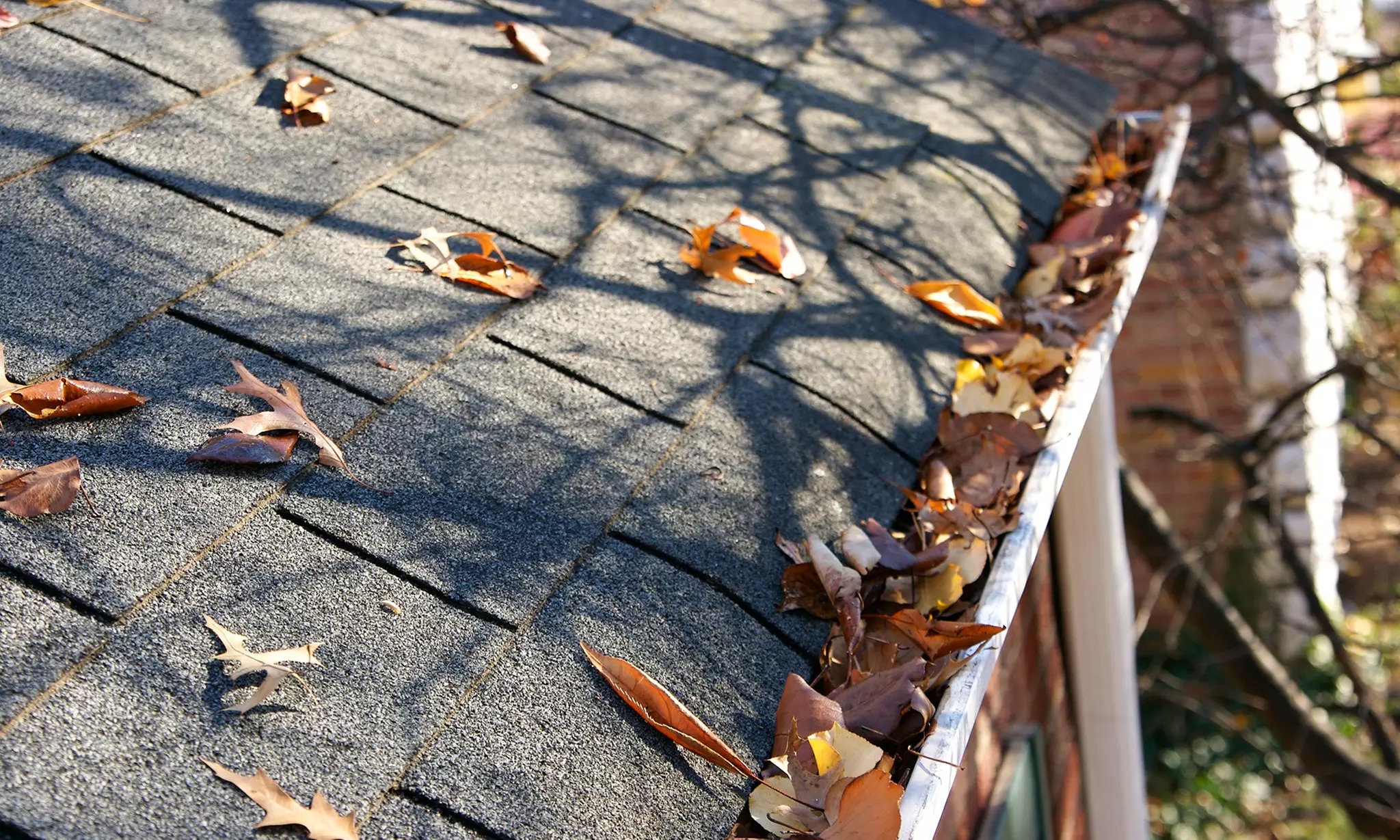 Gutter cleaning