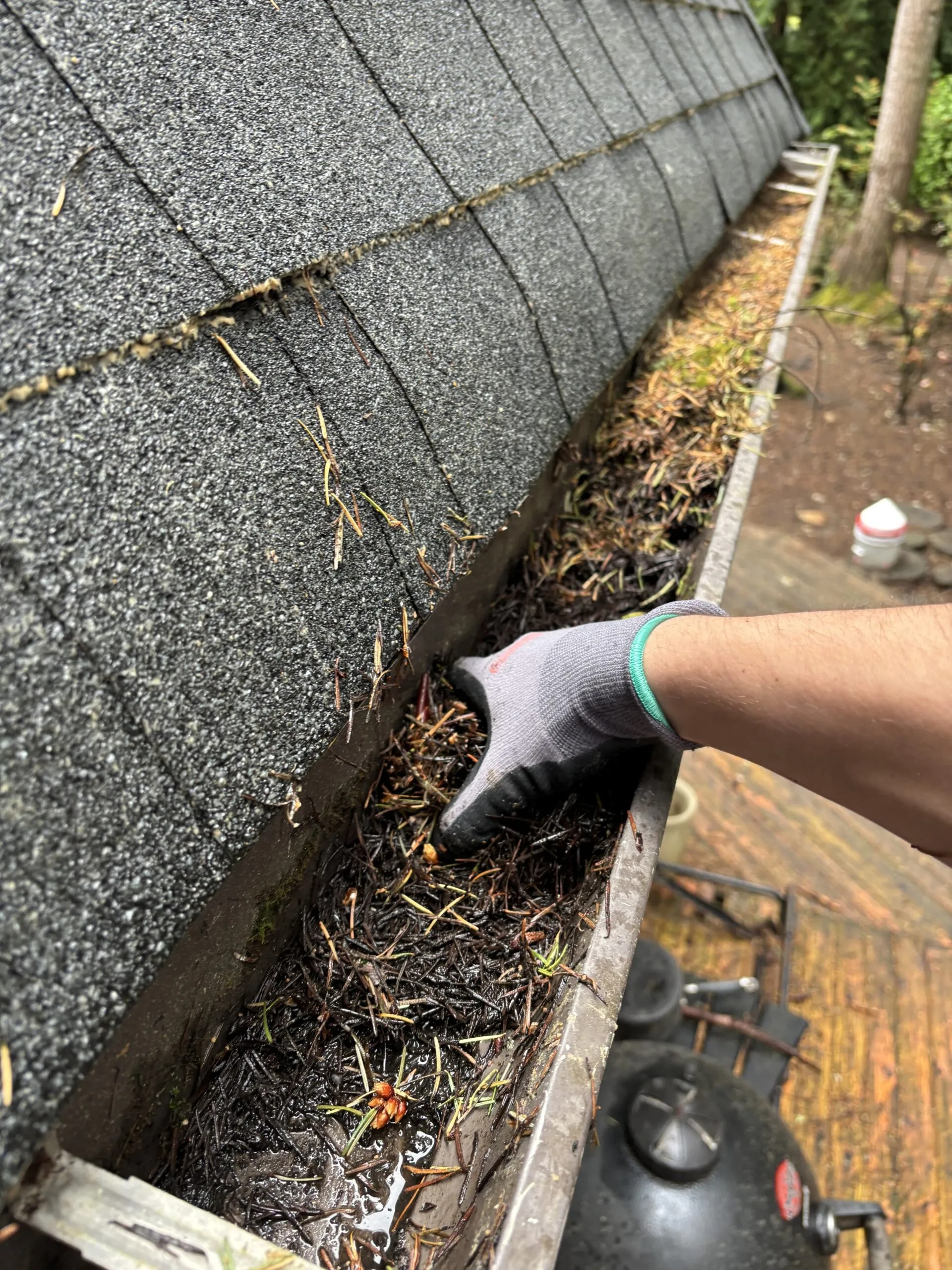Gutter Cleaning