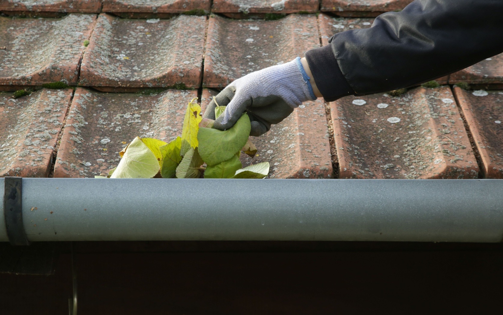 Gutter Cleaning Services