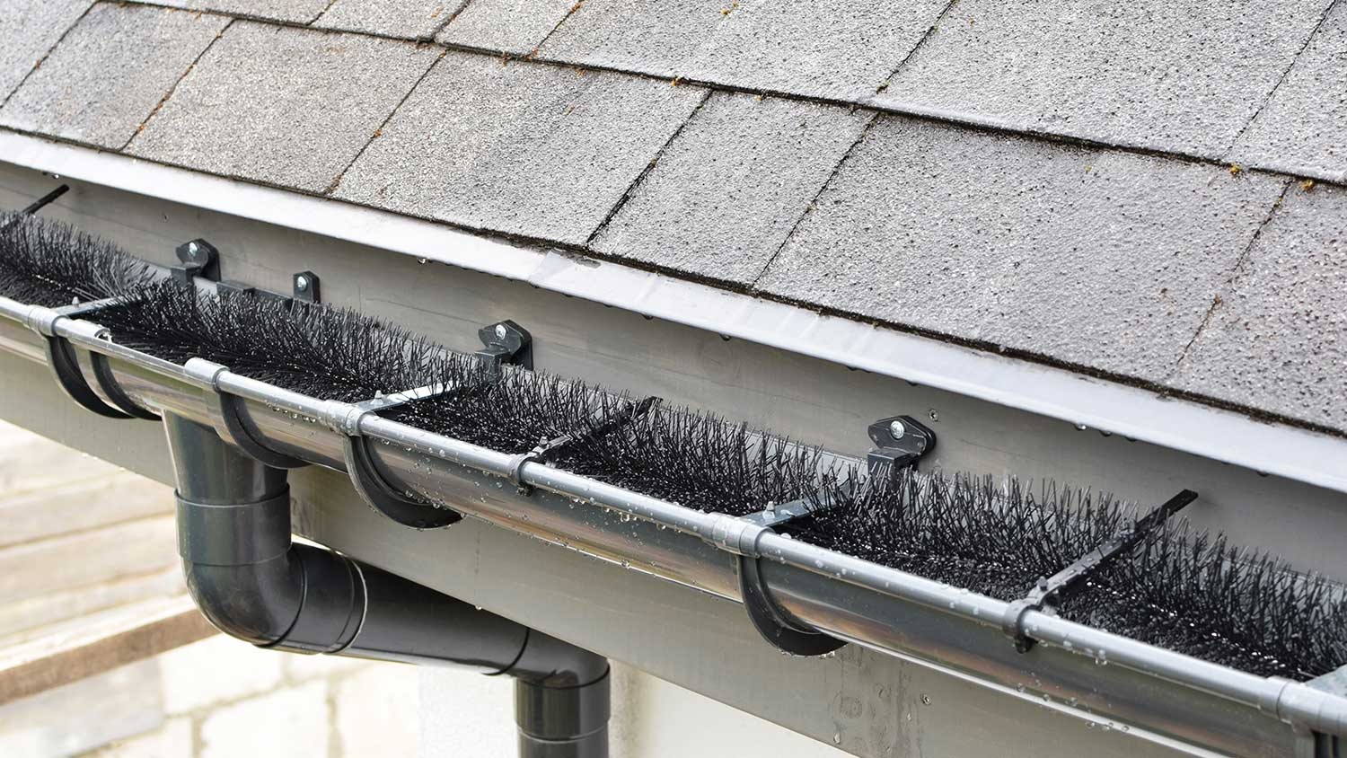 Gutter Cleaning Services