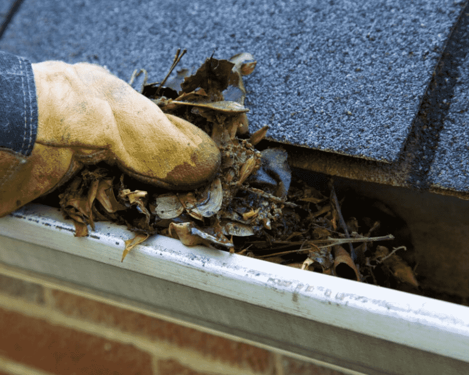Gutter Cleaning
