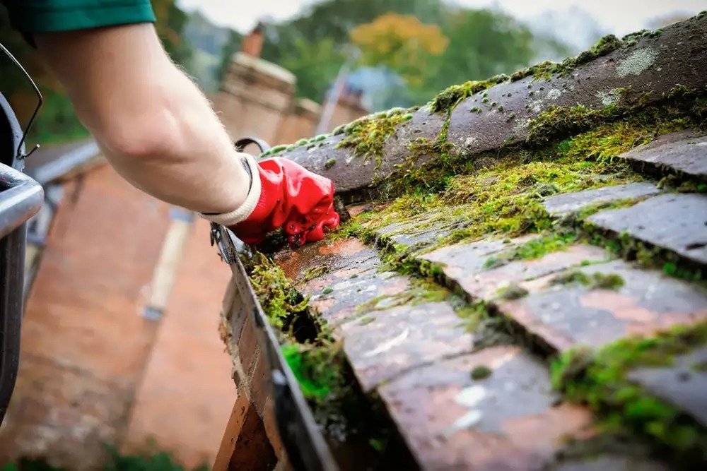 Gutter Cleaning Services