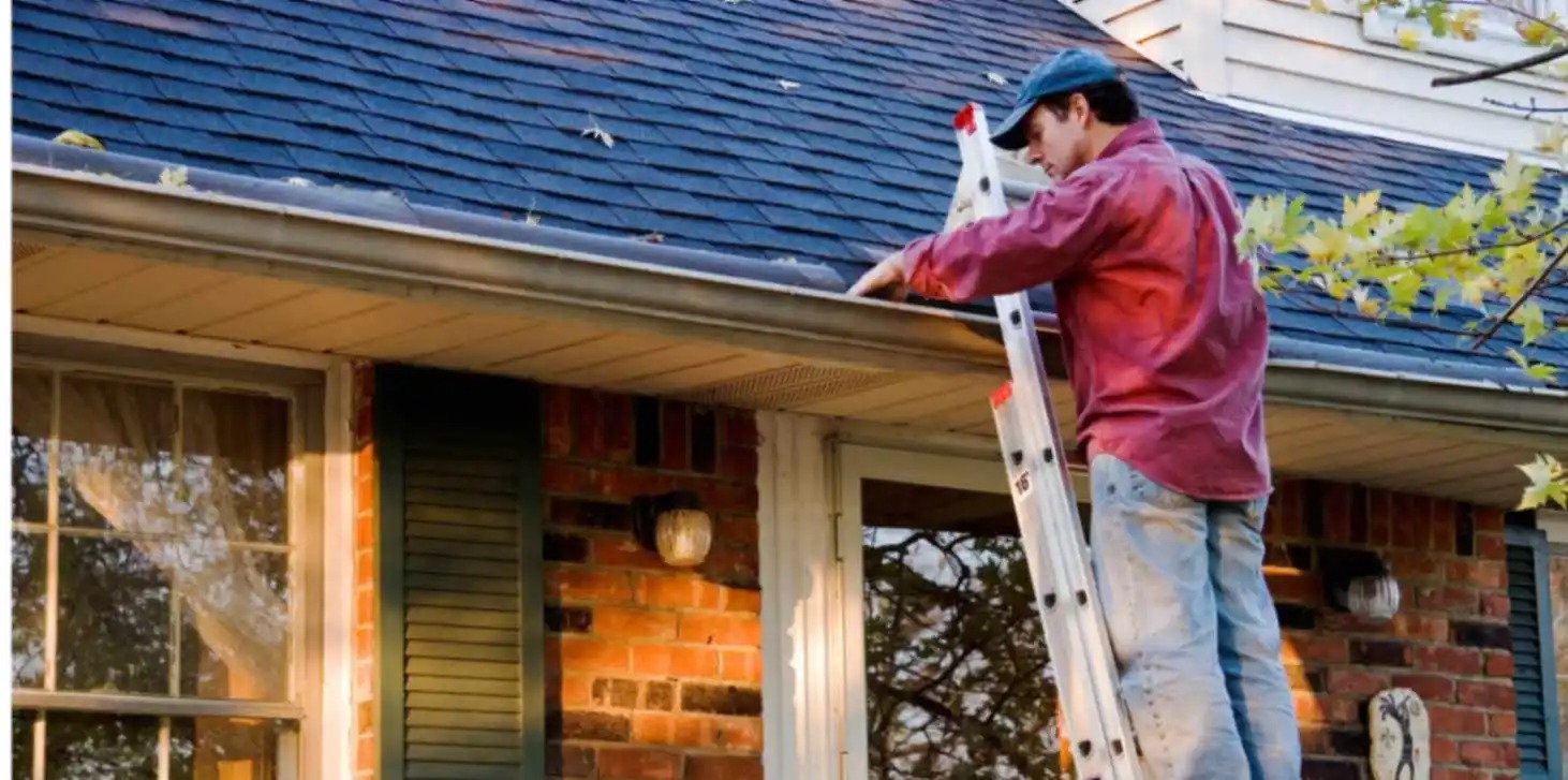 Gutter cleaning