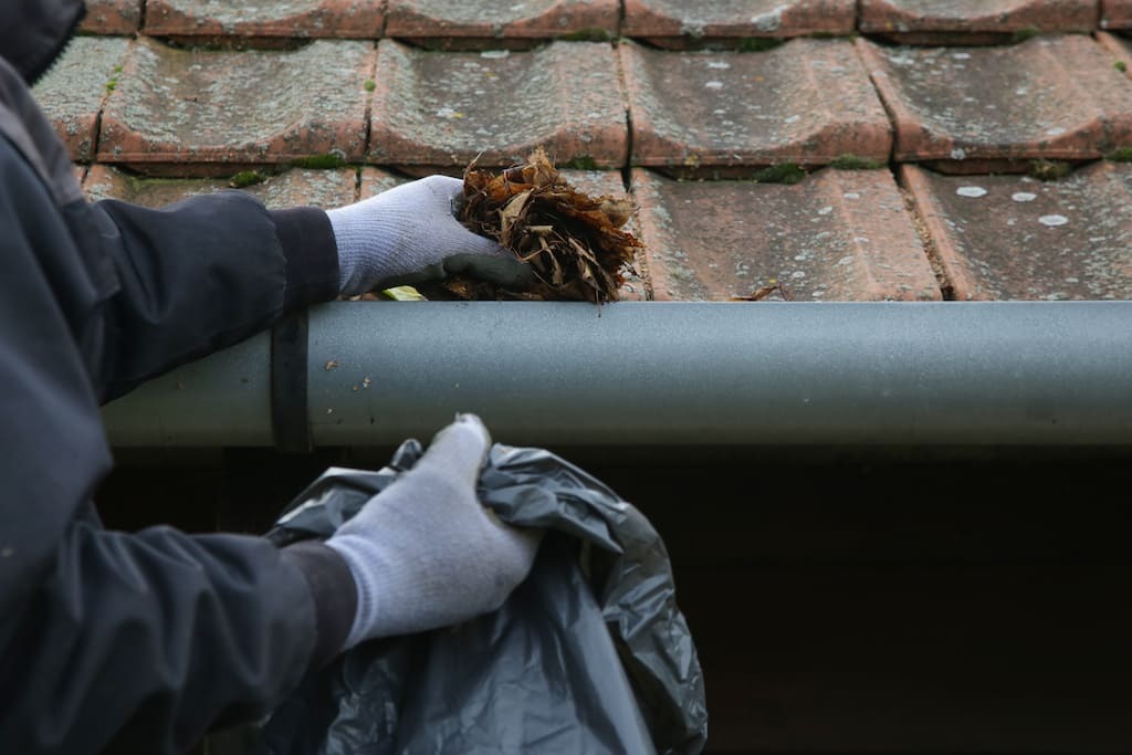 Gutter Cleaning Services