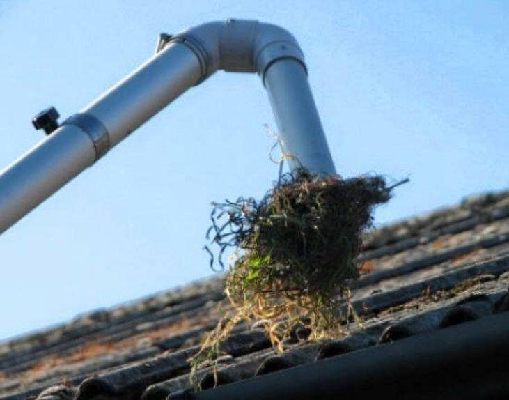 Gutter Cleaning Services