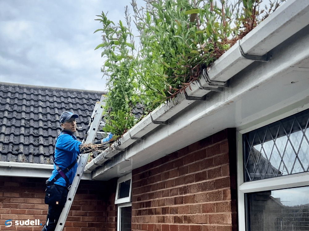 Gutter Cleaning Services