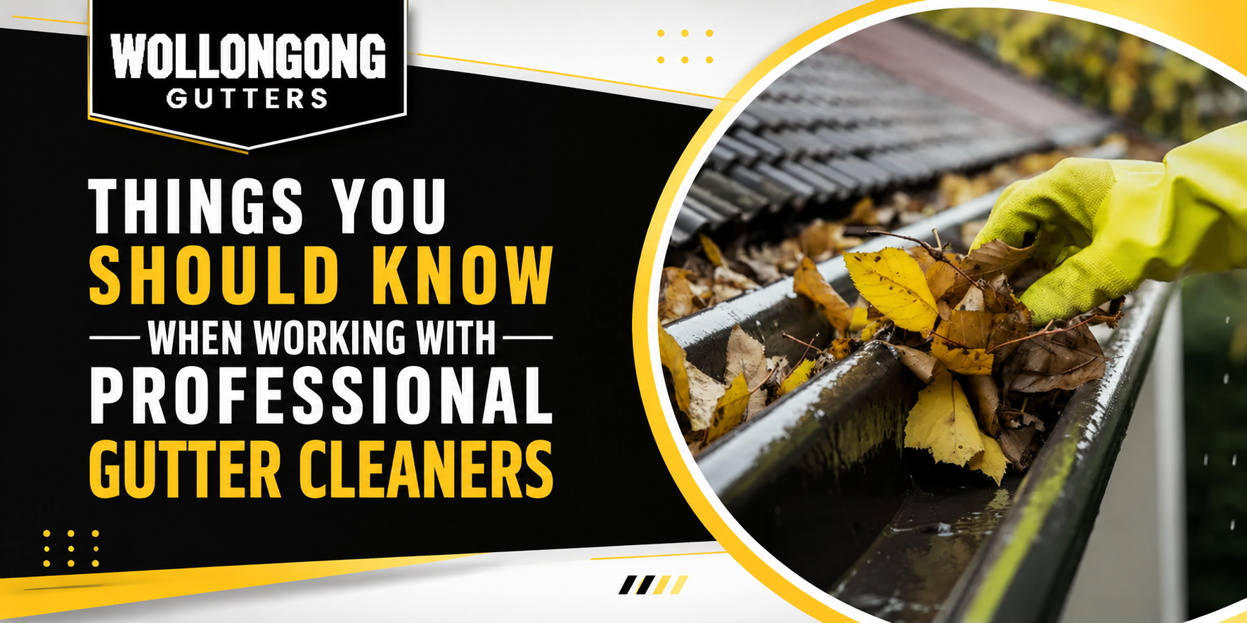 Gutter Cleaners
