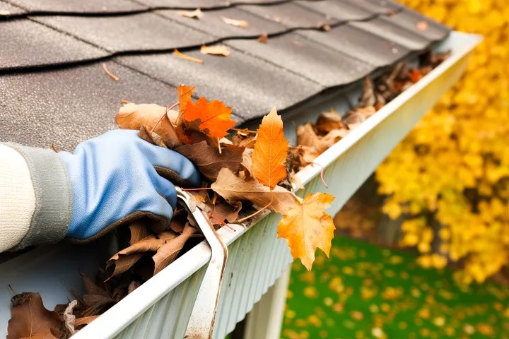 Gutter Cleaners