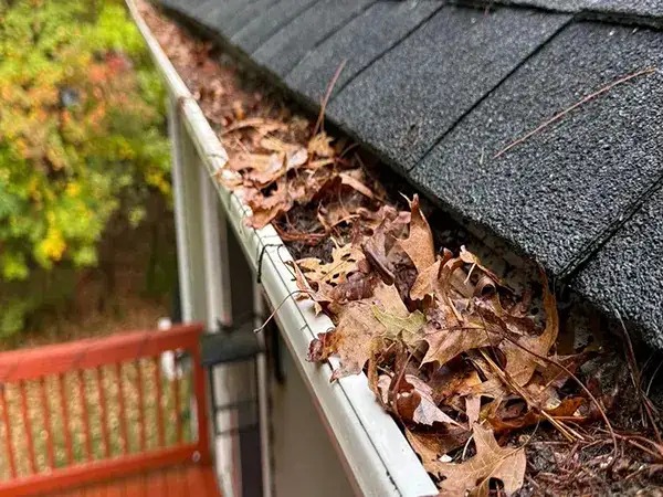 Gutter Maintenance