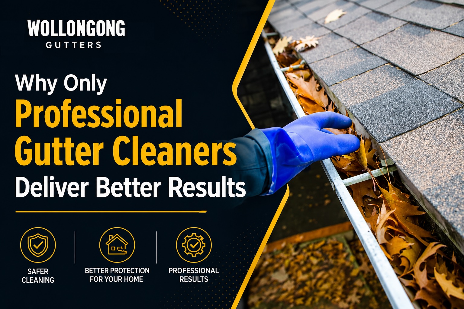 Professional Gutter Cleaning
