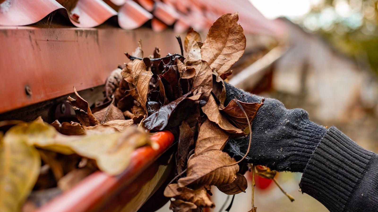 Gutter Cleaning