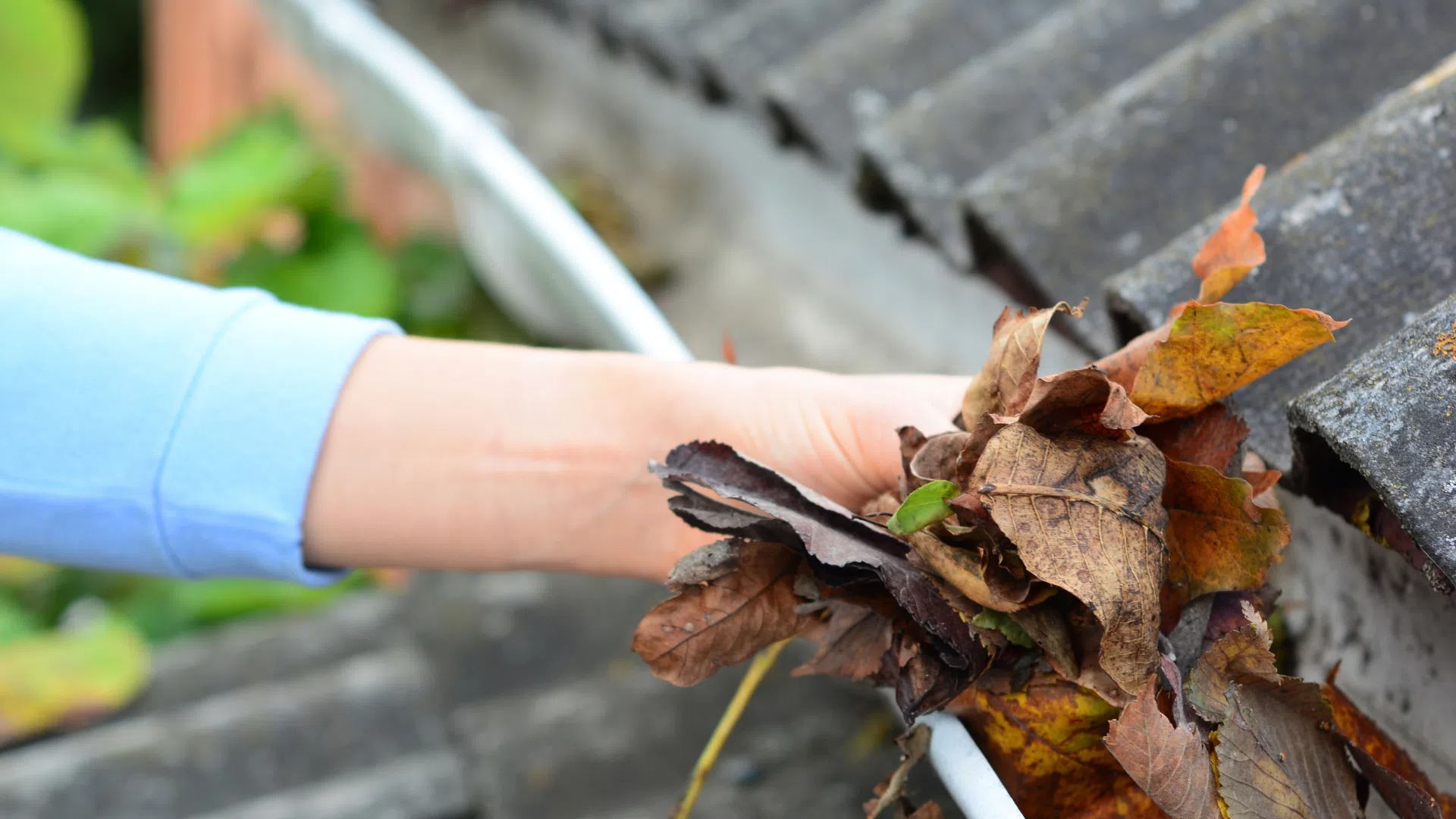 Gutter Cleaning