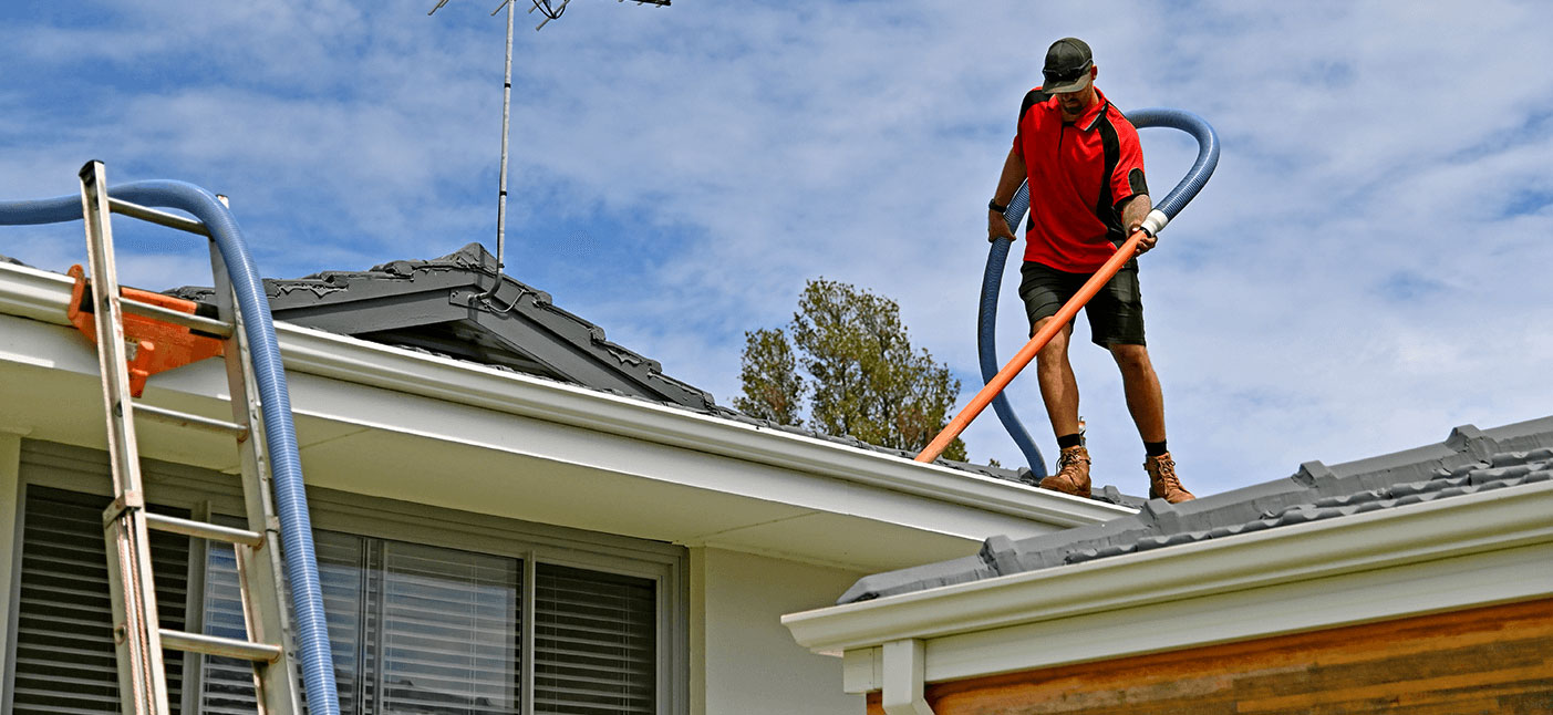 Gutter Cleaning