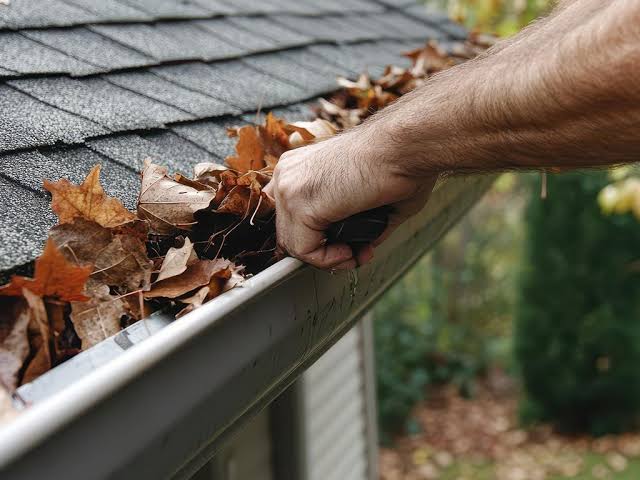 Gutter Cleaners